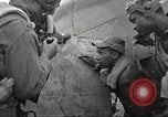 Standbild Negro 99 Ausübung Geschwader der 332 Fighter Group Orsogna Italien, 1943, aus Sekunde 40 historischem Filmmaterial Videoclip 65675062604