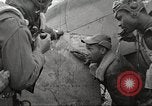 Standbild Negro 99 Ausübung Geschwader der 332 Fighter Group Orsogna Italien, 1943, aus Sekunde 43 historischem Filmmaterial Videoclip 65675062604