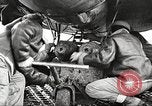 Standbild 99 Ausübung Squadron Tuskegee Airmen Orsogna Italien, 1943, aus Sekunde 54 historischem Filmmaterial Videoclip 65675062605