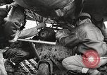 Standbild 99 Ausübung Squadron Tuskegee Airmen Orsogna Italien, 1943, aus Sekunde 59 historischem Filmmaterial Videoclip 65675062605
