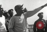 Image of 100th Squadron of P-51s from 332nd Fighter Group Termoli Italy, 1944, second 11 stock footage video 65675062610