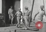 Image of 332nd Fighter Group pilots take off on a mission Termoli Italy, 1944, second 6 stock footage video 65675062612