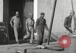 Image of 332nd Fighter Group pilots take off on a mission Termoli Italy, 1944, second 9 stock footage video 65675062612