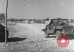 Image of 332nd Fighter Group pilots take off on a mission Termoli Italy, 1944, second 29 stock footage video 65675062612