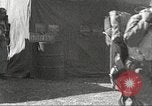Image of 332nd Fighter Group pilots take off on a mission Termoli Italy, 1944, second 42 stock footage video 65675062612