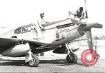 Immagine di Equipaggio di terra di 332Fighter Group mantenere P-51s Termoli Italia, 1944, secondo 1 filmato di repertorio 65675062615