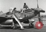 Immagine di Equipaggio di terra di 332Fighter Group mantenere P-51s Termoli Italia, 1944, secondo 10 filmato di repertorio 65675062615