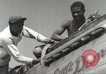 Immagine di Equipaggio di terra di 332Fighter Group mantenere P-51s Termoli Italia, 1944, secondo 15 filmato di repertorio 65675062615