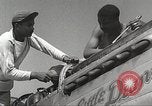 Immagine di Equipaggio di terra di 332Fighter Group mantenere P-51s Termoli Italia, 1944, secondo 18 filmato di repertorio 65675062615