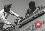 Immagine di Equipaggio di terra di 332Fighter Group mantenere P-51s Termoli Italia, 1944, secondo 19 filmato di repertorio 65675062615
