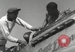 Immagine di Equipaggio di terra di 332Fighter Group mantenere P-51s Termoli Italia, 1944, secondo 20 filmato di repertorio 65675062615