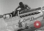 Immagine di Equipaggio di terra di 332Fighter Group mantenere P-51s Termoli Italia, 1944, secondo 29 filmato di repertorio 65675062615