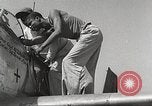 Immagine di Equipaggio di terra di 332Fighter Group mantenere P-51s Termoli Italia, 1944, secondo 42 filmato di repertorio 65675062615