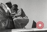 Immagine di Equipaggio di terra di 332Fighter Group mantenere P-51s Termoli Italia, 1944, secondo 48 filmato di repertorio 65675062615