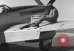 Immagine di Equipaggio di terra di 332Fighter Group mantenere P-51s Termoli Italia, 1944, secondo 56 filmato di repertorio 65675062615