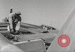 Immagine di Equipaggio di terra di 332Fighter Group mantenere P-51s Termoli Italia, 1944, secondo 59 filmato di repertorio 65675062615