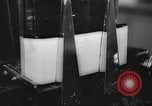 Image of FBI fingerprint library Washington DC USA, 1936, second 61 stock footage video 65675062630
