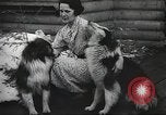 Image of Federal Bureau of Investigation Chicago Illinois USA, 1936, second 58 stock footage video 65675062631