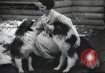 Image of Federal Bureau of Investigation Chicago Illinois USA, 1936, second 59 stock footage video 65675062631