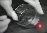 Image of Federal Bureau of Investigation United States USA, 1936, second 60 stock footage video 65675062637