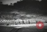 Image of Federal Bureau of Investigation United States USA, 1936, second 11 stock footage video 65675062639