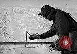 Image of Operation High Jump Antarctica, 1947, second 53 stock footage video 65675062641