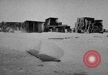 Image of United States Navy personnel Antarctica, 1947, second 3 stock footage video 65675062643