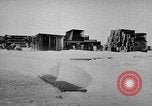 Image of United States Navy personnel Antarctica, 1947, second 8 stock footage video 65675062643