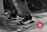 Image of United States Navy personnel Antarctica, 1947, second 42 stock footage video 65675062644