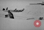 Image chiens l'Antarctique, 1947, de la seconde 4 séquences d'archives historiques vidéo 65675062646