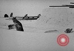 Image chiens l'Antarctique, 1947, de la seconde 5 séquences d'archives historiques vidéo 65675062646
