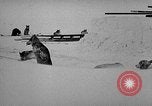 Image chiens l'Antarctique, 1947, de la seconde 6 séquences d'archives historiques vidéo 65675062646