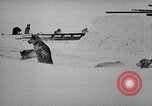 Image chiens l'Antarctique, 1947, de la seconde 7 séquences d'archives historiques vidéo 65675062646