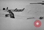 Image chiens l'Antarctique, 1947, de la seconde 8 séquences d'archives historiques vidéo 65675062646