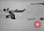 Image chiens l'Antarctique, 1947, de la seconde 10 séquences d'archives historiques vidéo 65675062646