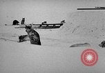 Image chiens l'Antarctique, 1947, de la seconde 11 séquences d'archives historiques vidéo 65675062646