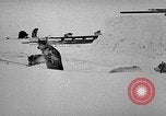 Image chiens l'Antarctique, 1947, de la seconde 12 séquences d'archives historiques vidéo 65675062646