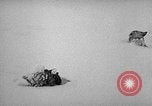 Image chiens l'Antarctique, 1947, de la seconde 21 séquences d'archives historiques vidéo 65675062646