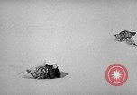 Image chiens l'Antarctique, 1947, de la seconde 25 séquences d'archives historiques vidéo 65675062646