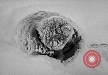 Image chiens l'Antarctique, 1947, de la seconde 44 séquences d'archives historiques vidéo 65675062646
