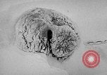 Image chiens l'Antarctique, 1947, de la seconde 46 séquences d'archives historiques vidéo 65675062646