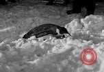Image le personnel de la marine des États-Unis l'Antarctique, 1947, de la seconde 17 séquences d'archives historiques vidéo 65675062648