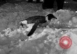 Image le personnel de la marine des États-Unis l'Antarctique, 1947, de la seconde 18 séquences d'archives historiques vidéo 65675062648