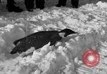 Image le personnel de la marine des États-Unis l'Antarctique, 1947, de la seconde 25 séquences d'archives historiques vidéo 65675062648