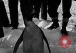Image le personnel de la marine des États-Unis l'Antarctique, 1947, de la seconde 34 séquences d'archives historiques vidéo 65675062648