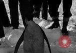 Image le personnel de la marine des États-Unis l'Antarctique, 1947, de la seconde 35 séquences d'archives historiques vidéo 65675062648