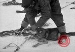 Image le personnel de la marine des États-Unis l'Antarctique, 1947, de la seconde 4 séquences d'archives historiques vidéo 65675062649