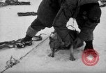 Image le personnel de la marine des États-Unis l'Antarctique, 1947, de la seconde 5 séquences d'archives historiques vidéo 65675062649
