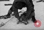 Image le personnel de la marine des États-Unis l'Antarctique, 1947, de la seconde 7 séquences d'archives historiques vidéo 65675062649