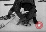 Image le personnel de la marine des États-Unis l'Antarctique, 1947, de la seconde 8 séquences d'archives historiques vidéo 65675062649